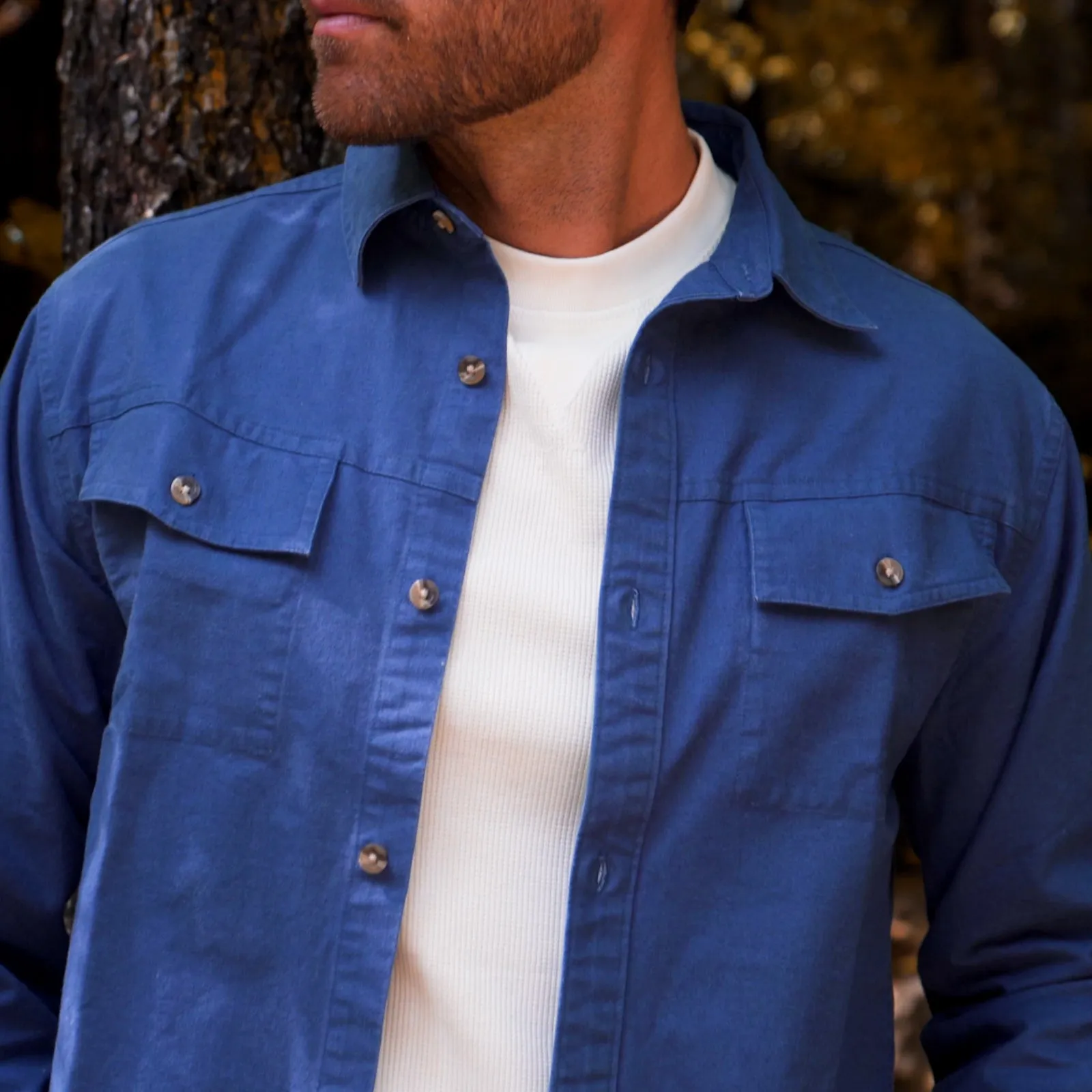 Men's Hamilton Chamois Shirt