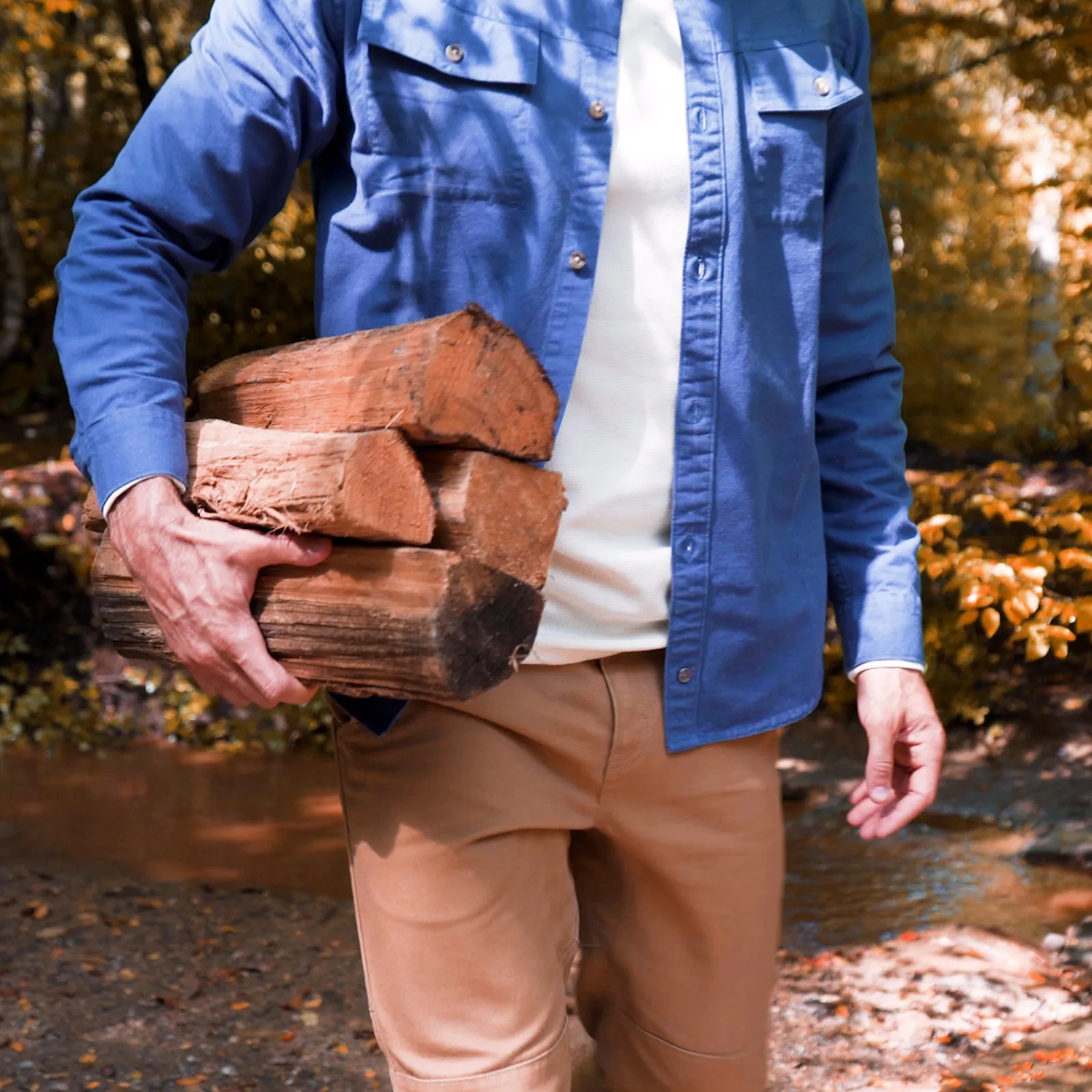 Men's Hamilton Chamois Shirt